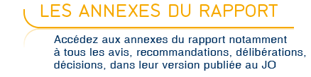 Les annexes du rapport - Accédez aux annexes du rapport et notamment à tous les avis, recommandations, délibérations, décisiions, dans leur version publiée au Journal Officiel